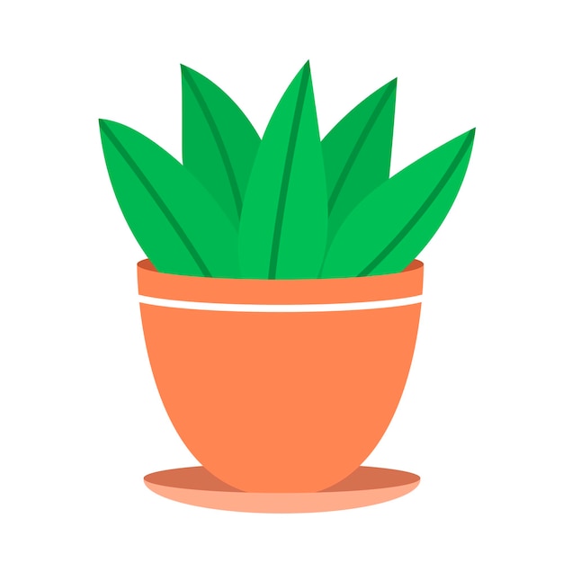 Indoor green plant in a pot Cactus with leaves Object and design element Flat vector illustration