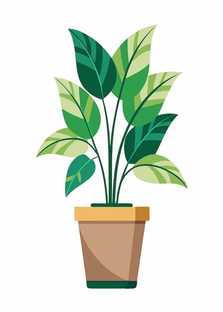 Indoor Plant Vector art on white background