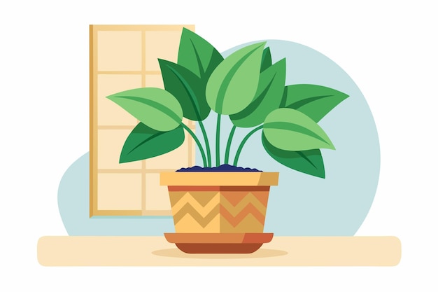 Indoor Plant Vector art on white background