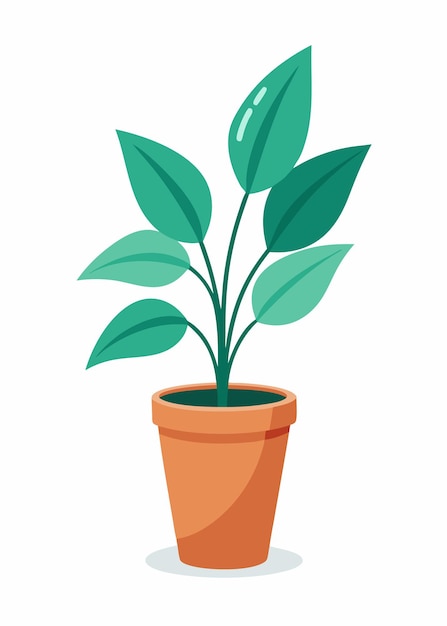 Vector indoor plant vector art on white background