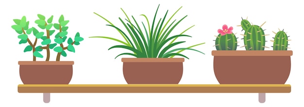 Indoor plants in pots Cartoon home greenery shelves