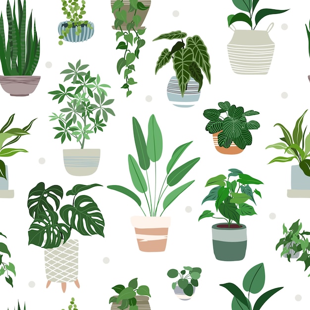 Indoor plants seamless pattern