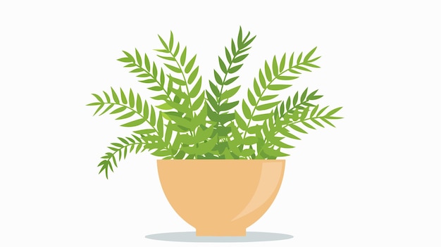 Indoor Potted Plant Asparagus Fern Flat Illustration