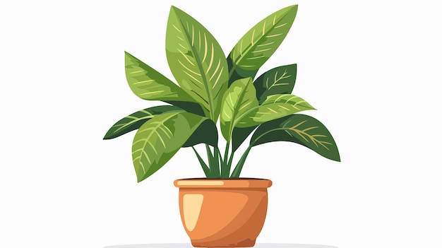 Indoor Potted Plant Hawaiian Ti Illustration Vector