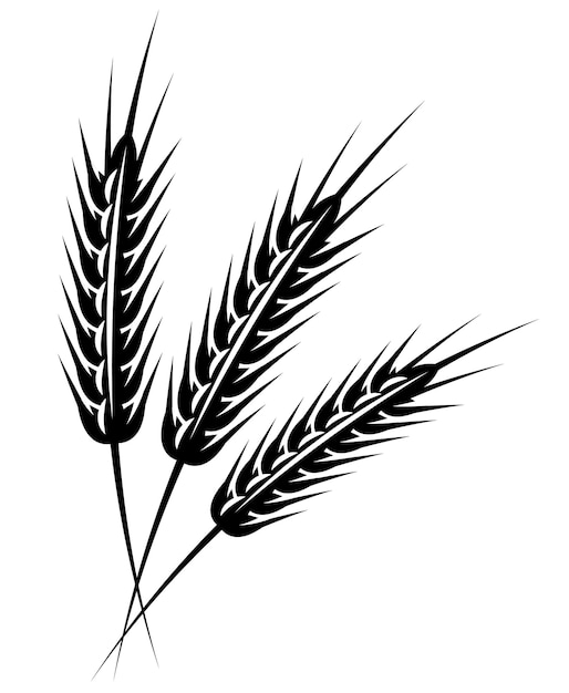 Inflorescence of three spikelets Vector monochrome illustration Template or element for design