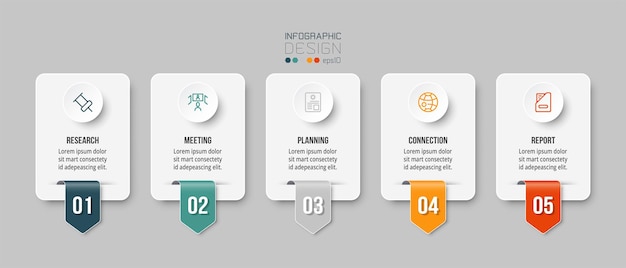 Infographic business template with step or options design