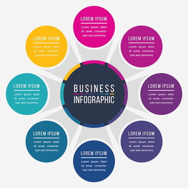 Infographic design circle 8 steps or options business information colored template