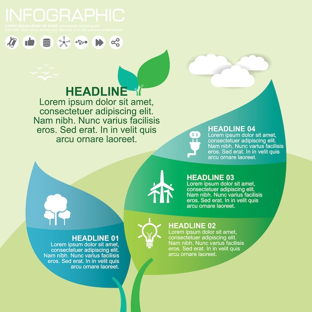 Vector infographic template and options 