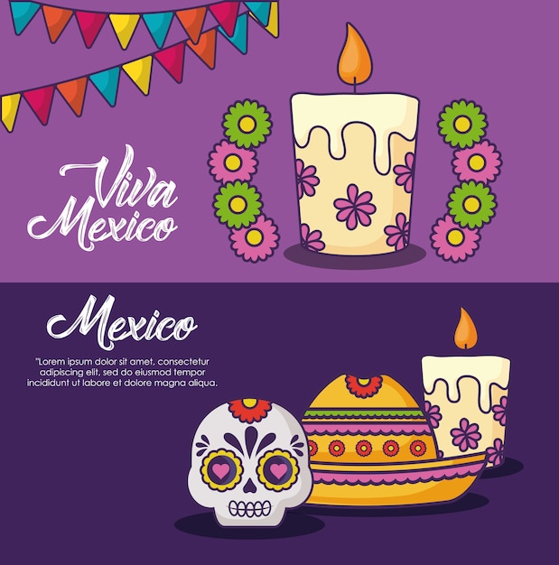 Infographic of viva mexico concept 