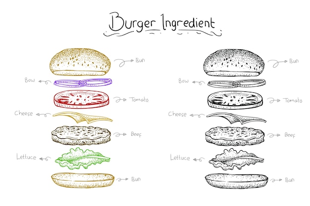 the ingredient burger illustration. vector hand drawn style