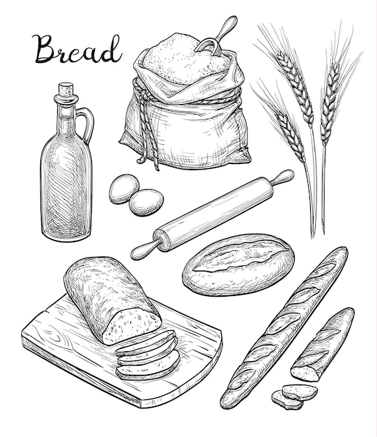 Ingredients and bread set Hand drawn vector illustration Isolated on white background Retro style