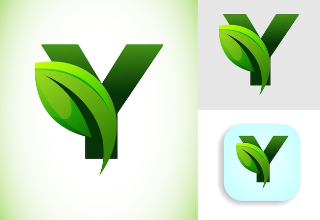 Initial Y alphabet with a leaf Ecofriendly logo concept Graphic alphabet symbol for business and company identity