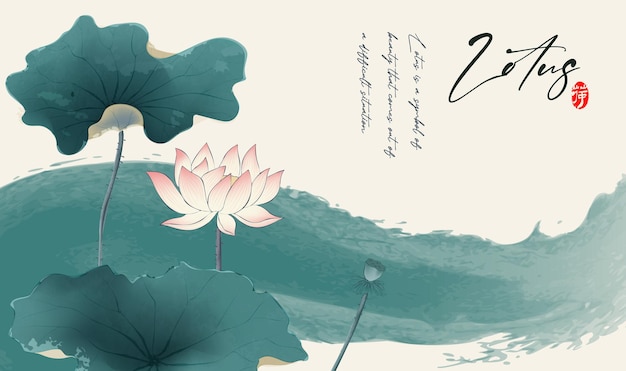 Ink illustrations of lotus flowers in full bloom