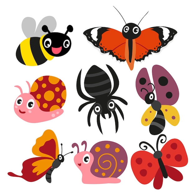 insect character design