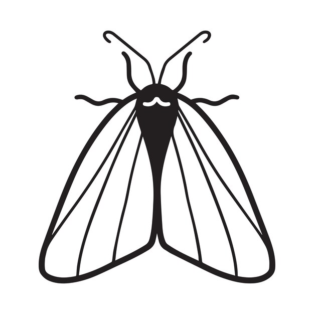 Vector insect clipart graphic moth insect vector illustration in black and white