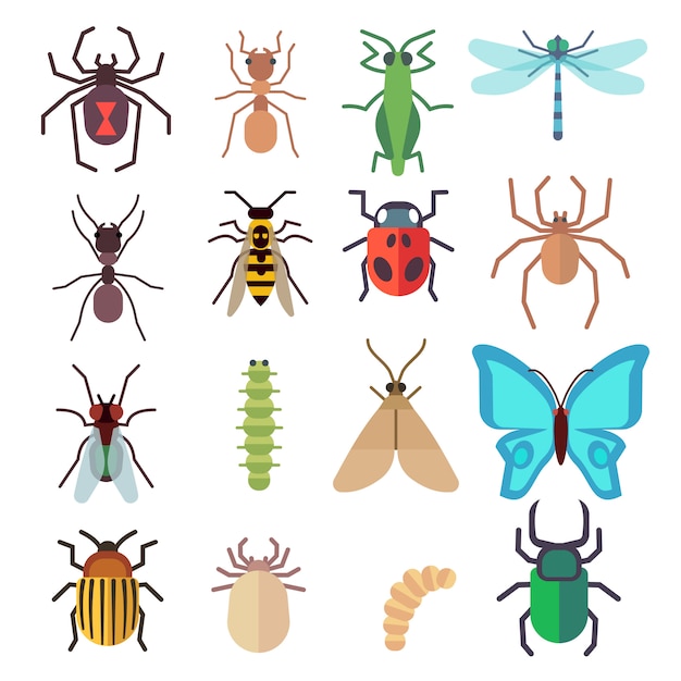 Insect flat icons set