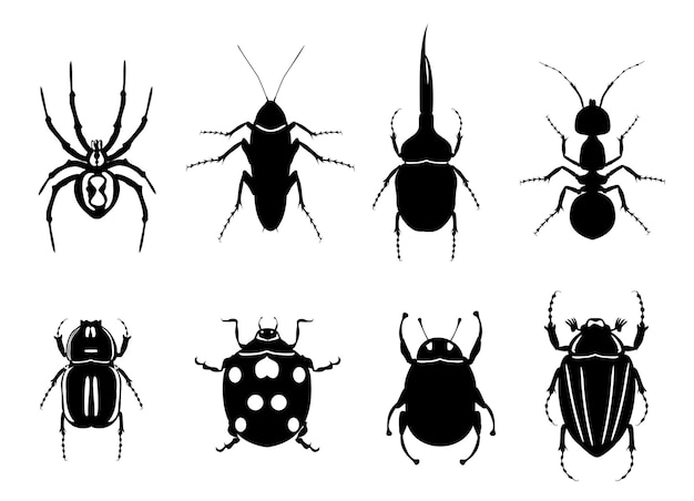 Insect icons. Set of insects, icons beetles, ants, spiders. Silhouettes of insects.