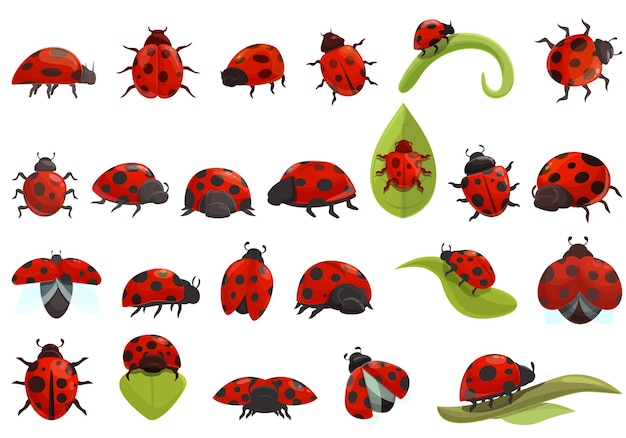 Insect ladybird icons set cartoon vector. Fly kids insect