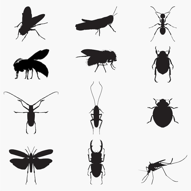 Insect Silhouettes