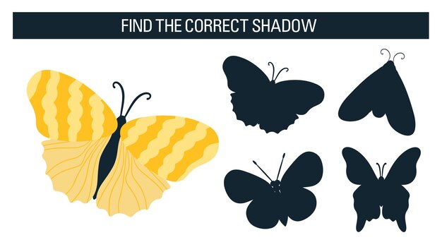 Insects, butterflies, moths. Find the right shadow, an educational game for kids. Vector illustration cartoon style