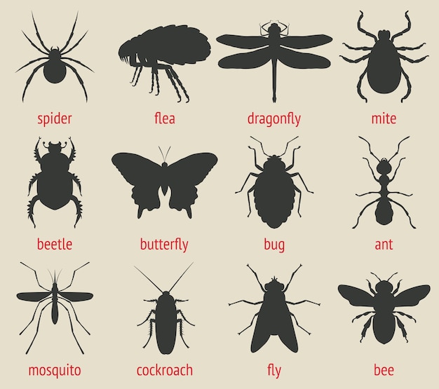 Vector insects icons set