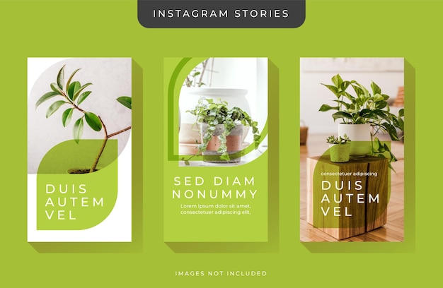 Instagram Stories Template