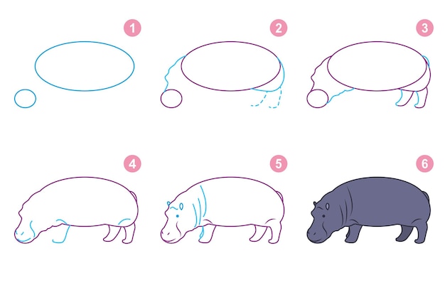 Instructions for drawing hippopotamus. Follow step by step for drawing hippo.