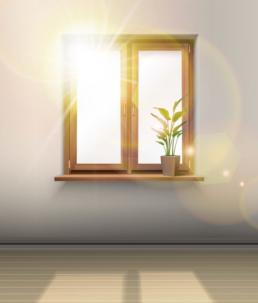  interior. Wooden window with a plant and sun shining through the glass.