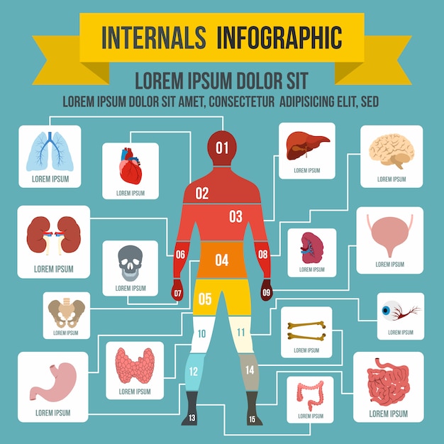 Internals infographic elements in flat style for any design