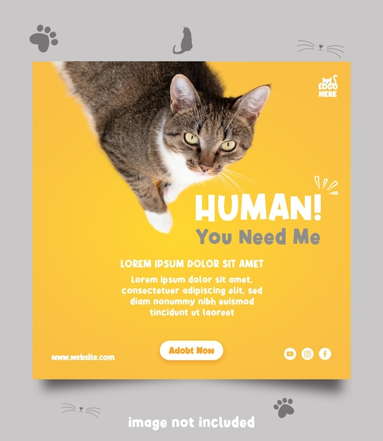 Vector international cat day social media post template