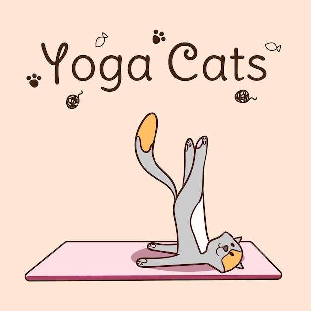 Vector international yoga day cats yoga yoga pose and exercise colorful flat vector hand drawn illustartion