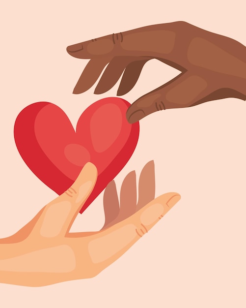 Interracial human hands holding heart