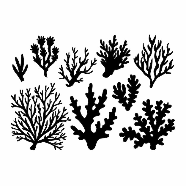 intricate coral silhouettes in black color on an isolated white background 30