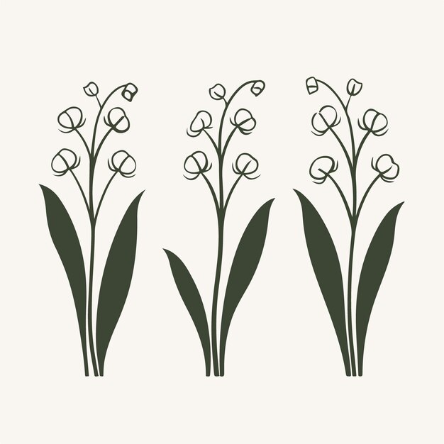 Intricate Lily of the valley illustration with fine details