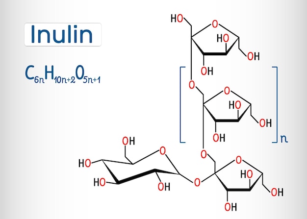 Vector inulin molecule structural chemical formula and molecule model