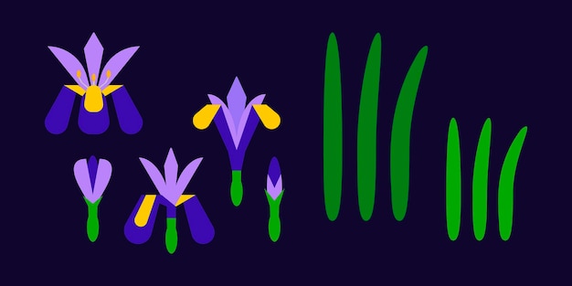 Iris Flower geometric icon set