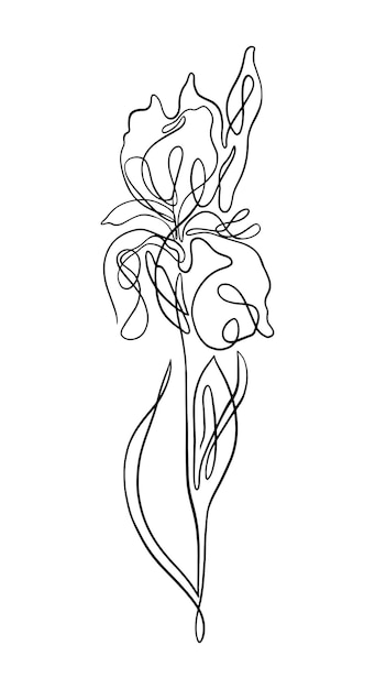 Iris one line art vector illustration