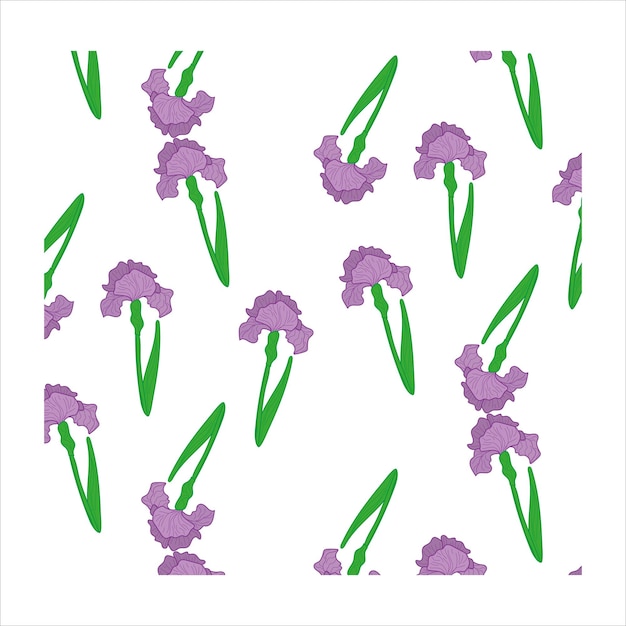 Iris pattern