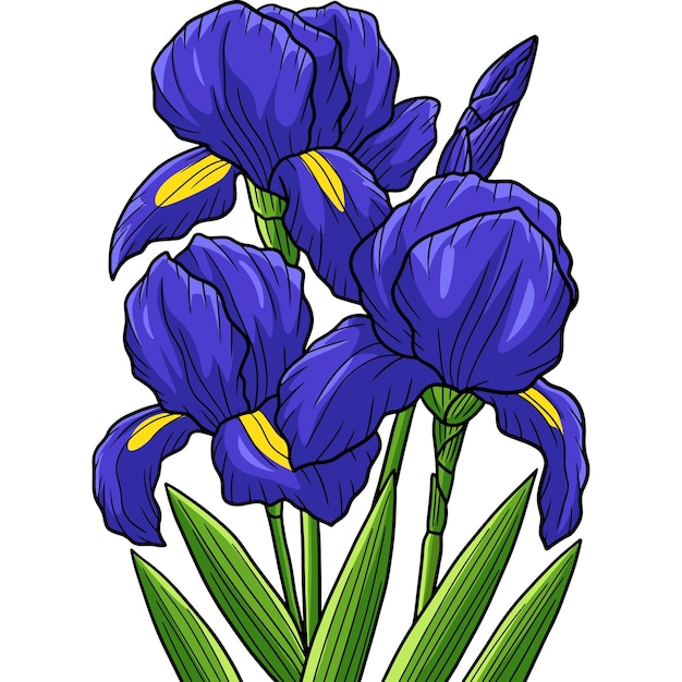 Irises Flower Cartoon Colored Clipart Illustration