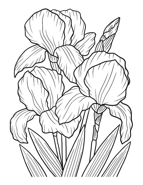 Irises Flower Coloring Page for Adults