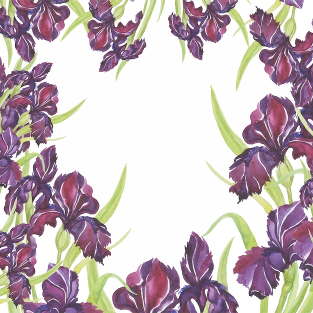 Irises pattern frame