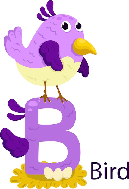 Isolated animal alphabet B for bird on white