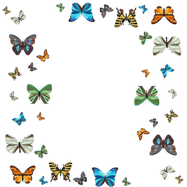 Isolated background postcard flying butterflies