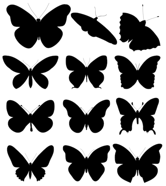 Isolated black silhouette butterfly set