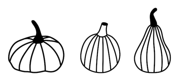 Isolated doodle pumpkin set. Vector icons, hand-drawn pumpkin stickers. Autumn harvest illustration