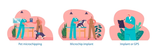 Vector isolated elements with animal chipping process where a small microchip is implanted under the skin of an animal providing tracking and identification of pets cartoon vector illustration