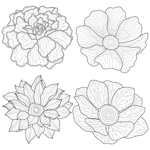 Isolated flowers on a white backgroundColoring book antistress for children and adults