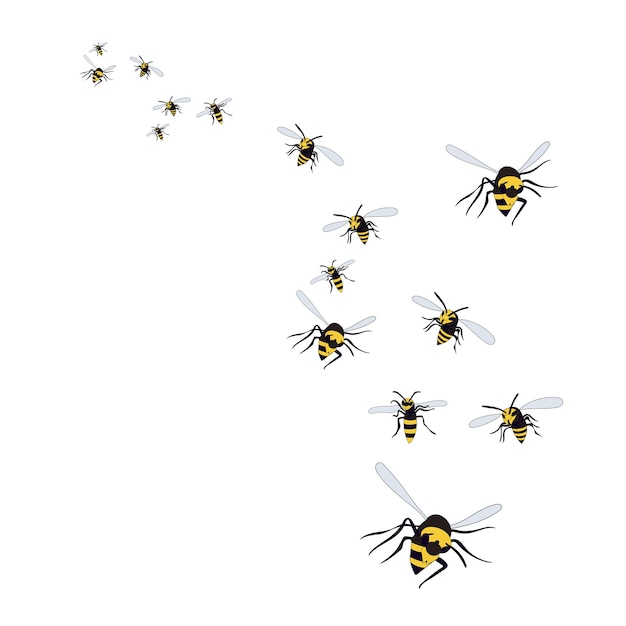 Isolated flying wasp bees on a white background