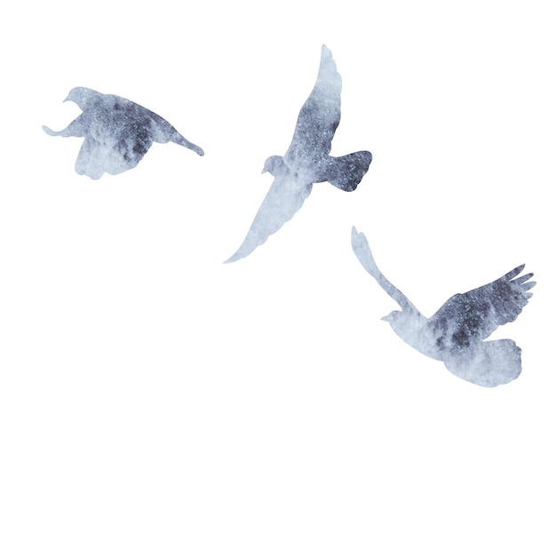 Isolated gray watercolor silhouette of flocks of birds