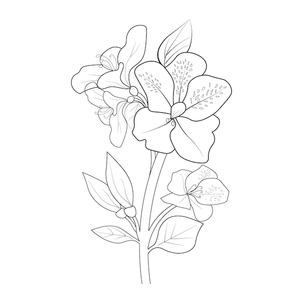 Isolated, Hand drawn beautiful Evergreen Azalea Rani, flower bouquets vector illustration clip art.